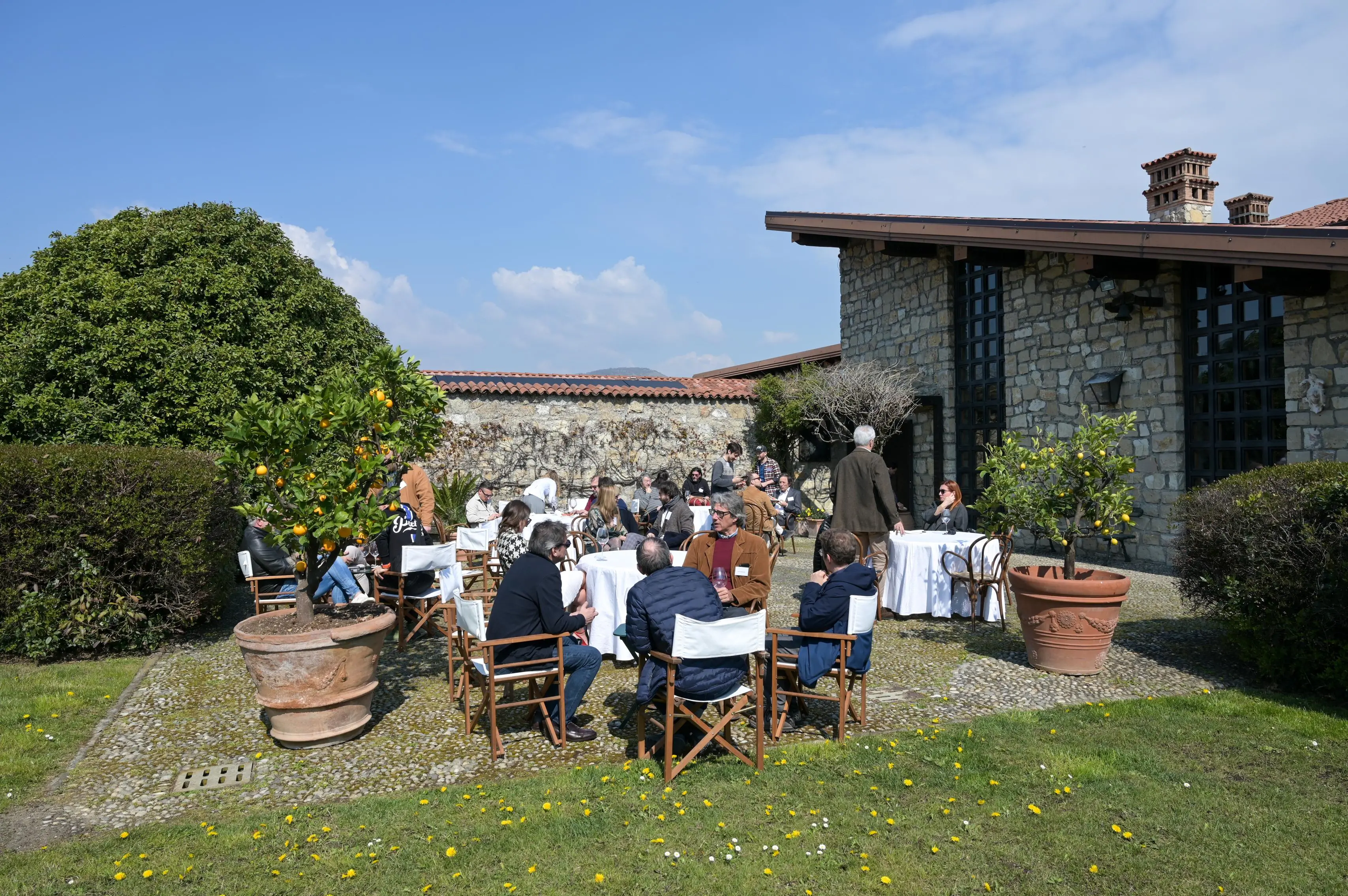 Germogli alla cantina Cavalleri: «Fare poche cose per farle bene»