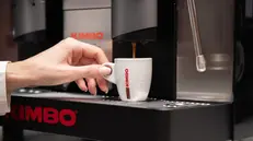 19 March, 2016, America’s Cup Partnership (ACP) welcomes Kimbo as both an Official Supplier of the Louis Vuitton 38th America’s Cup and most importantly, the Official Coffee of the regatta.