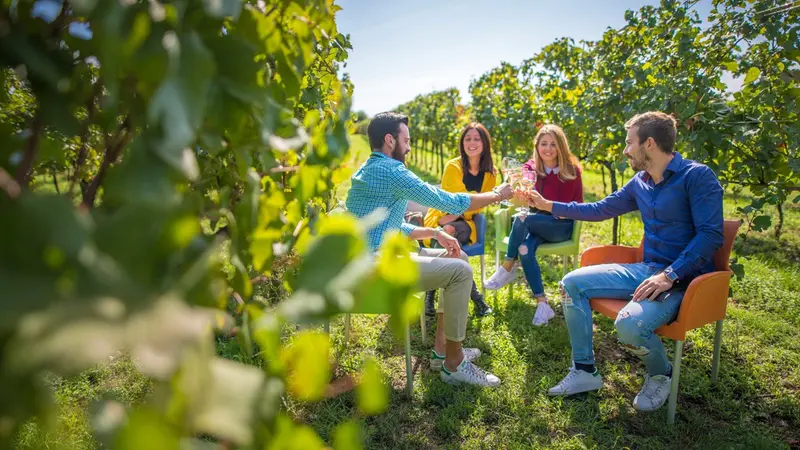 In compagnia, tra le vigne ma anche visite nelle cantine della zona