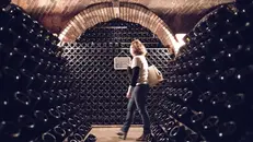 Le cantine sono meta di affascinanti visite turistiche