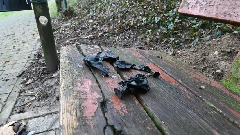 Ritrovati i palloncini nei parchi - © www.giornaledibrescia.it