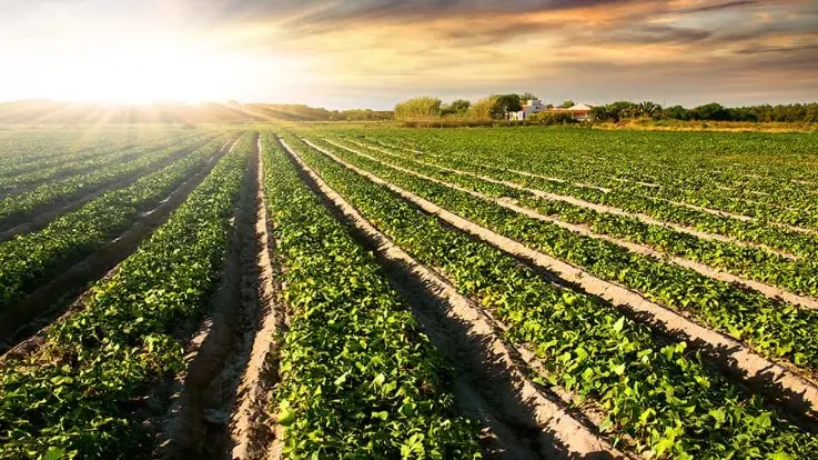 Condifesa Lombardia Nord Est, al via la campagna 2026