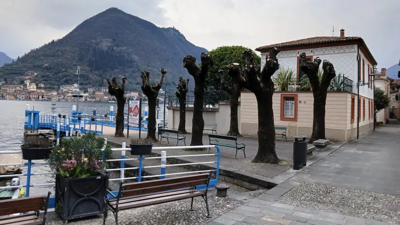 Gli otto tigli a Sulzano - © www.giornaledibrescia.it