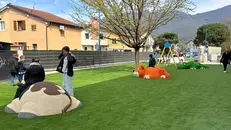 Il nuovo prato con i giochi a forma di animali - © www.giornaledibrescia.it