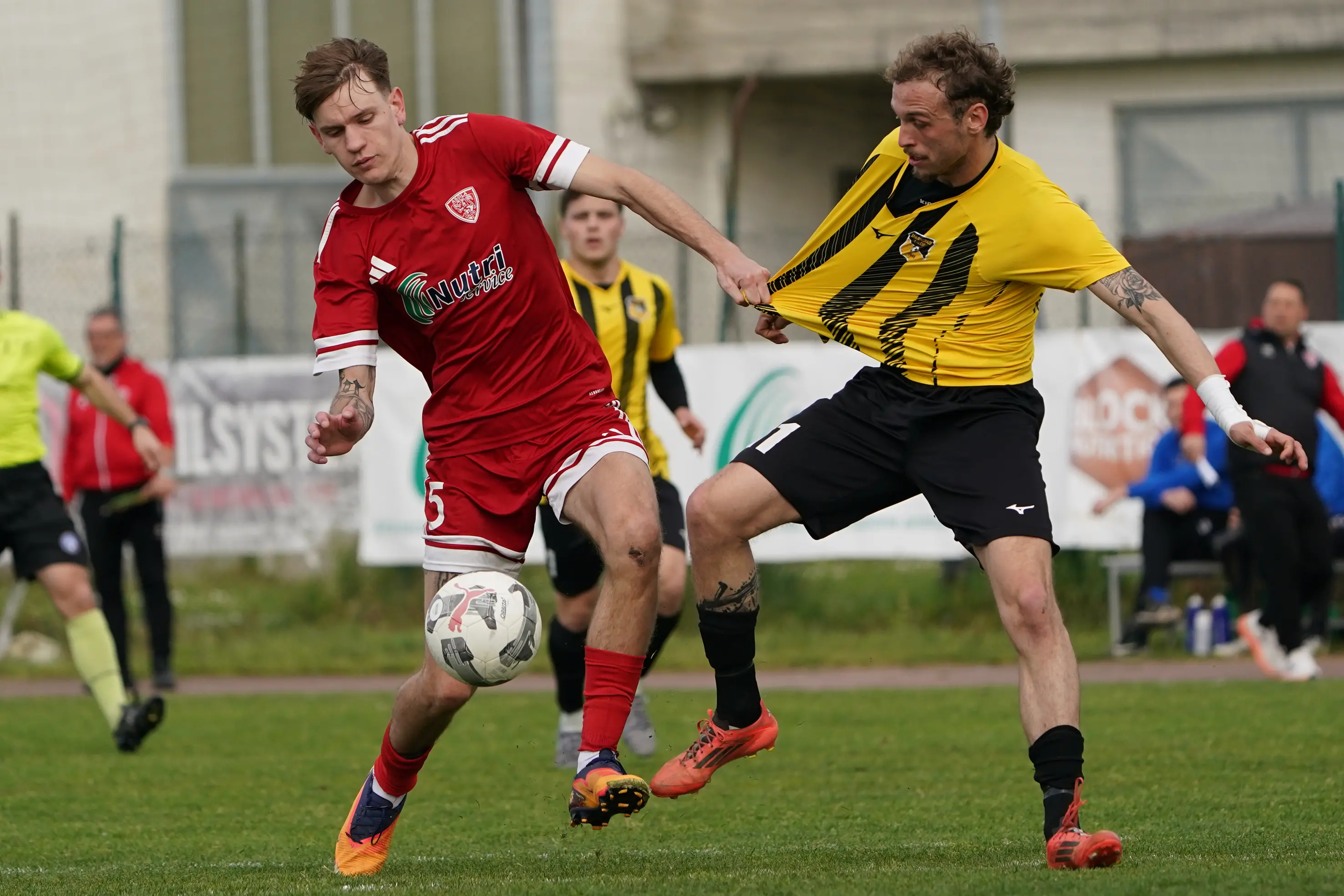 Promozione: le immagini di Asola-San Pancrazio e la festa promozione