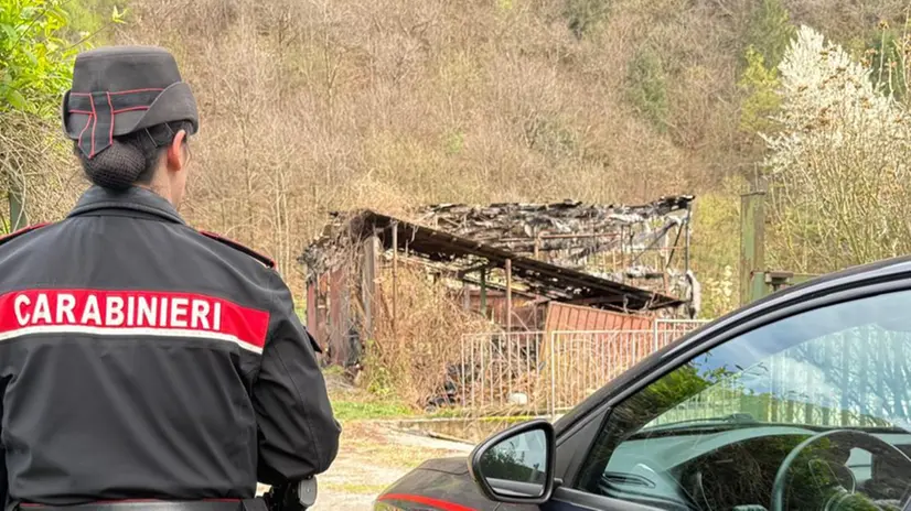 La legnaia dopo l'incendio