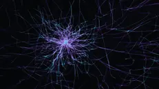 Neuroni (foto simbolica)