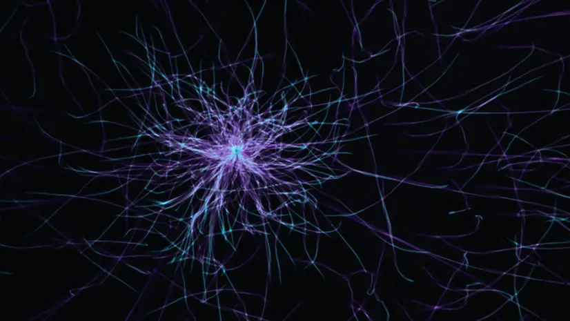 Neuroni (foto simbolica)