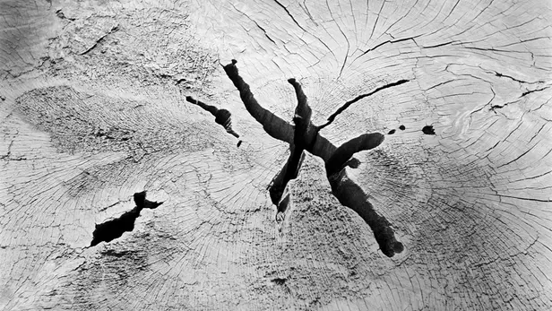 La foto di Werner Bischof simbolo della mostra, Magnum Photos