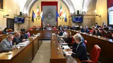 La seduta del Consiglio comunale - Foto Christian Penocchio