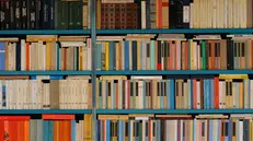 Una libreria con scaffali fitti di libri - Ria per Unsplash