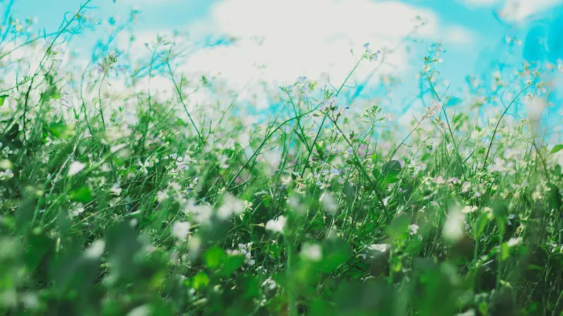 Le allergie non sono più solo un problema primaverile