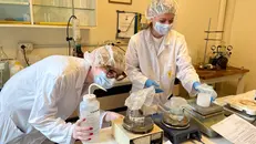 Il laboratorio della farmacia Fiorentini, in città