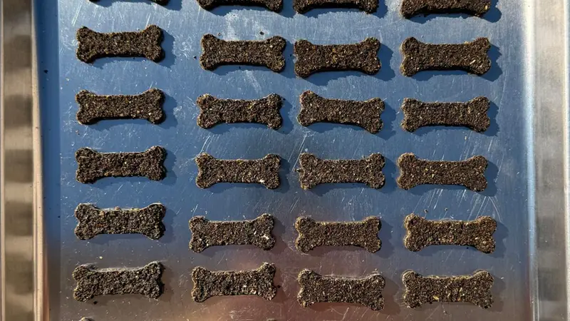 Le crocchette con il farmaco realizzate da Giovanni Prandi