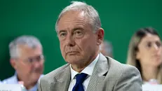 Il ministro Adolfo Urso - Foto Ansa © www.giornaledibrescia.it