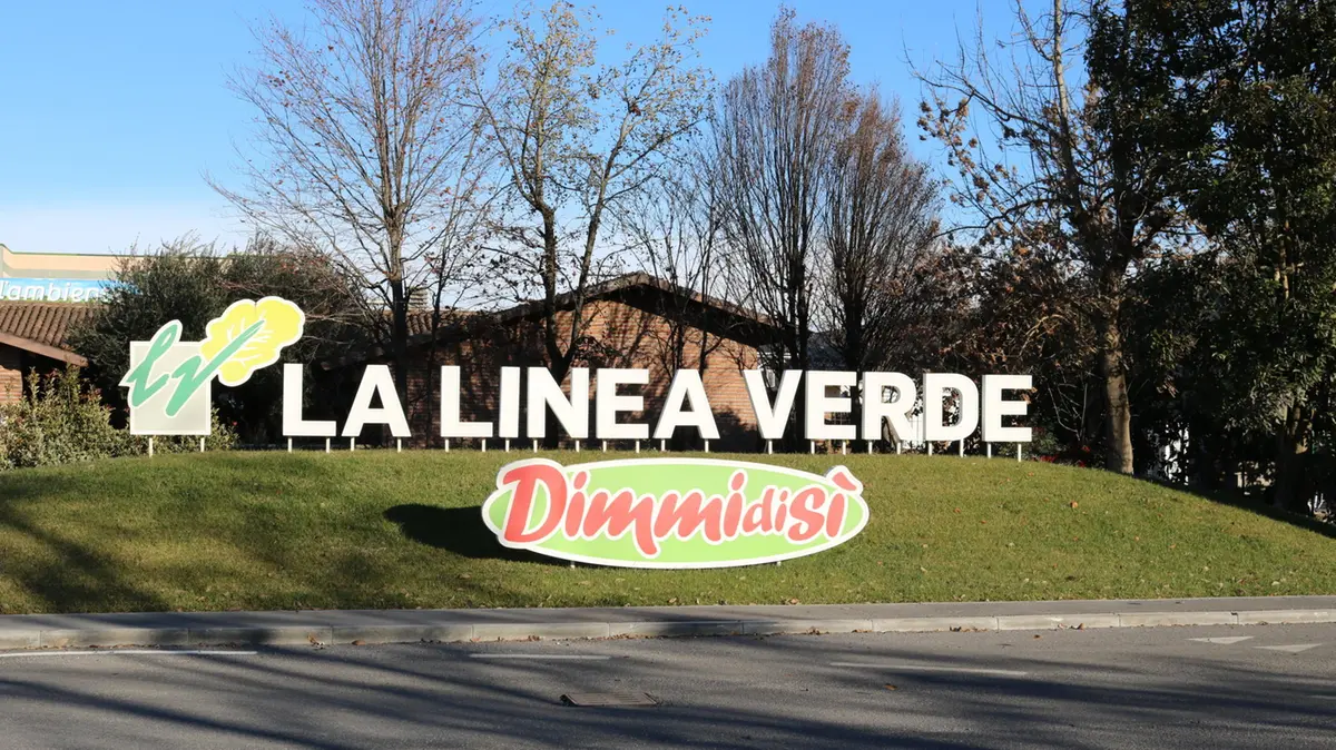 LaLineaVerde.JPG