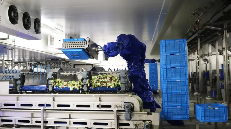 Lo stabilimento super automatizzato del gruppo La Linea Verde