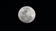 La missione Artemis è propedeutica al ritorno dell'uomo sulla Luna - Foto Ansa © www.giornaledibrescia.it