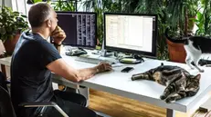 Un lavoratore in smart working