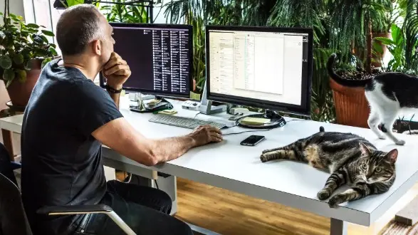 Un lavoratore in smart working