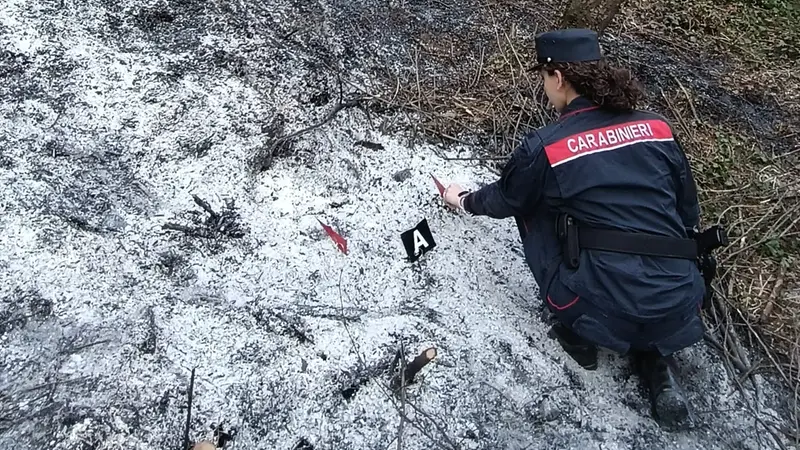 I Carabinieri forestali sul posto