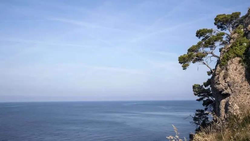 La vista da Portofino - Da laportofinese.it