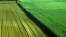 Campi coltivati - © www.giornaledibrescia.it