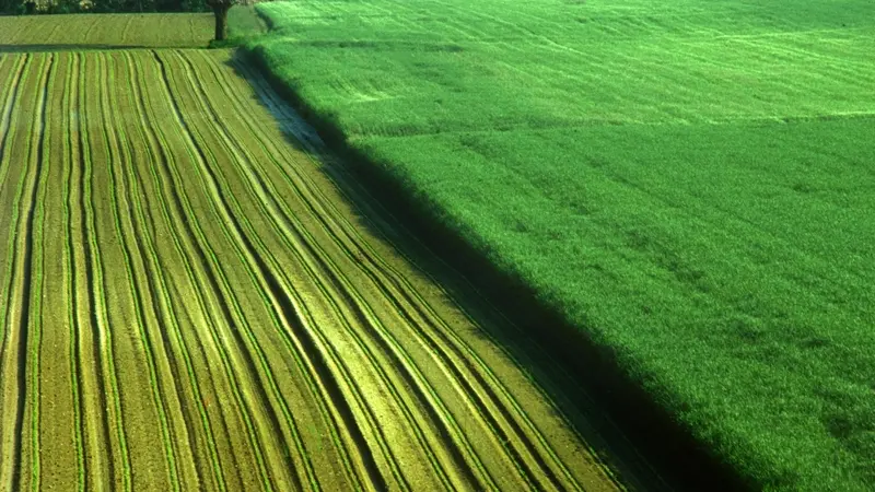 Campi coltivati - © www.giornaledibrescia.it