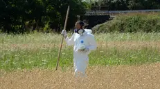 Un tecnico impegnato monitoraggio di campi inquinati - © www.giornaledibrescia.it