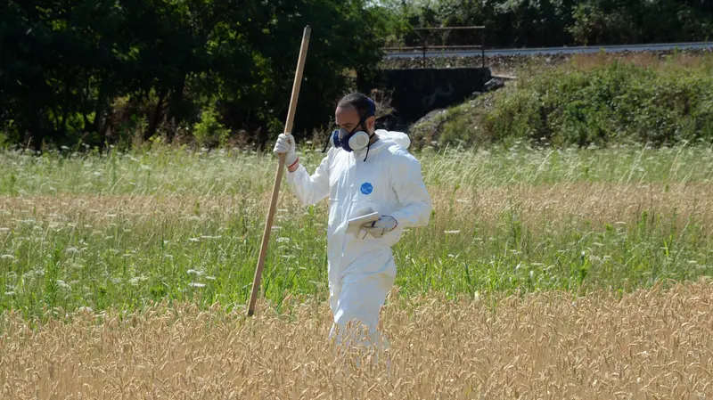 Un tecnico impegnato monitoraggio di campi inquinati - © www.giornaledibrescia.it