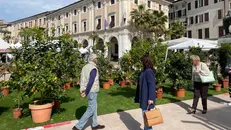 Fino a domenica Salò Botanica - © www.giornaledibrescia.it