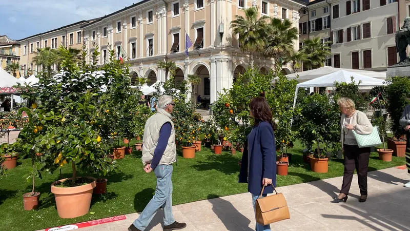 Fino a domenica Salò Botanica - © www.giornaledibrescia.it