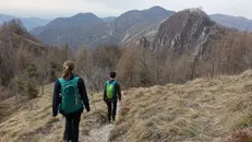 Una passeggiata suggesti verso il monte Tromet
