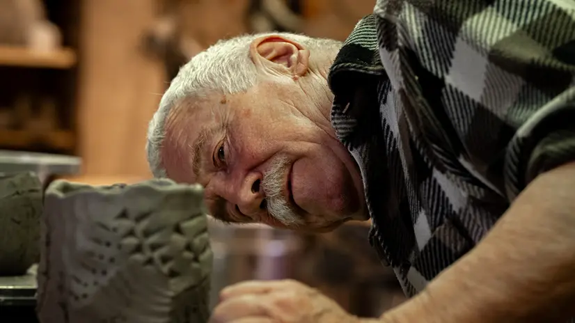 Matteo D'Andrea © All rights reserved