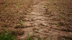 C'è preoccupazione per la mancanza di acqua © www.giornaledibrescia.it