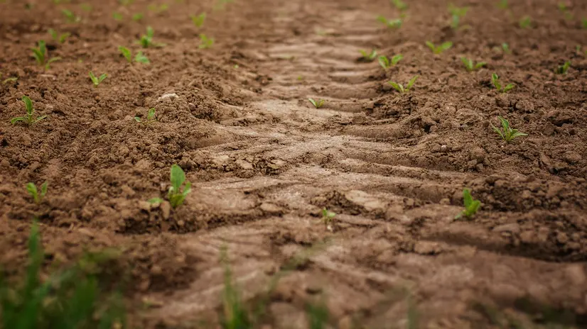 C'è preoccupazione per la mancanza di acqua © www.giornaledibrescia.it