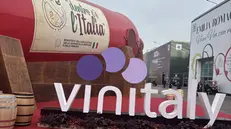 Vinitaly - © www.giornaledibrescia.it