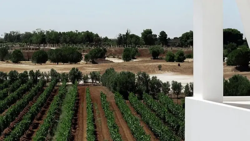 Uno scorcio della tenuta Donblasi, nel cuore della Puglia