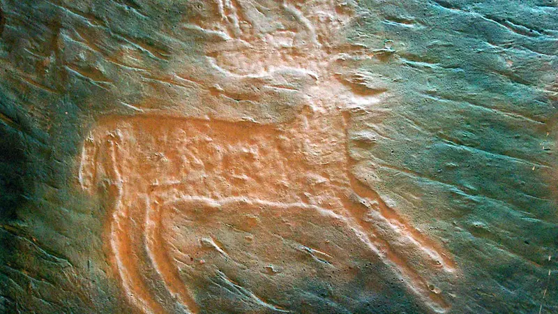 Incisioni rupestri della Valcamonica, un cervo