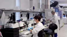 L'interno di un laboratorio Synlab