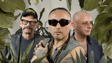 I Cacao Mental - Foto Annapaola Martin