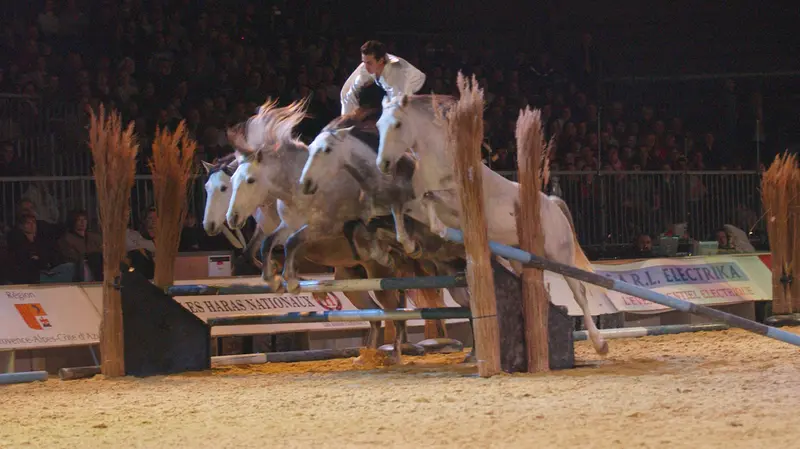 Uno spettacolo a Travagliato Cavalli - © www.giornaledibrescia.it