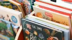 Libri per bimbi e ragazzi