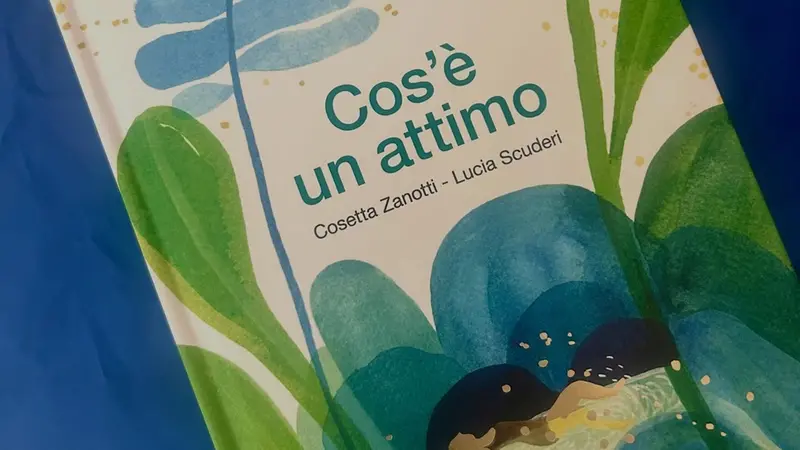 Il nuovo albo di Cosetta Zanotti