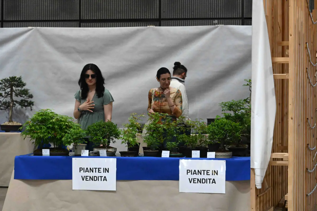 La prima edizione di Brixia cosplay and nerd 2026