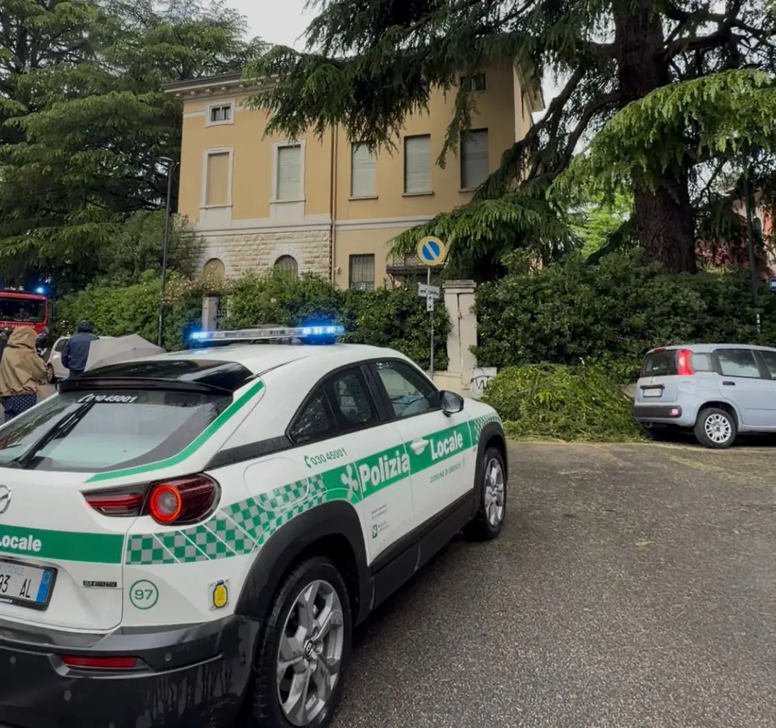 Auto in sosta danneggiata dal ramo che si è staccato