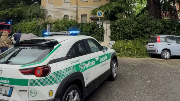 Auto in sosta danneggiata dal ramo che si è staccato