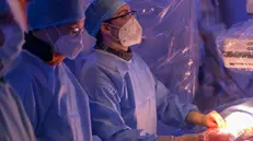 Il lavoro di squadra è stato fondamentale per la buona riuscita dell'intervento