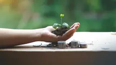 Criteri Esg sempre più diffusi