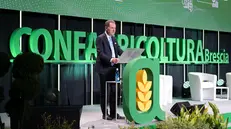 Il presidente Giovanni Garbelli ha rassegnato le dimissioni - © www.giornaledibrescia.it